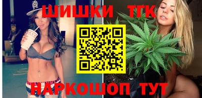 стаф Новодвинск