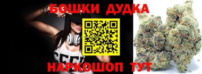 прущие грибы Абакан