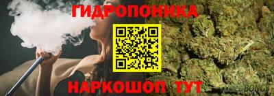 каннабис Новозыбков