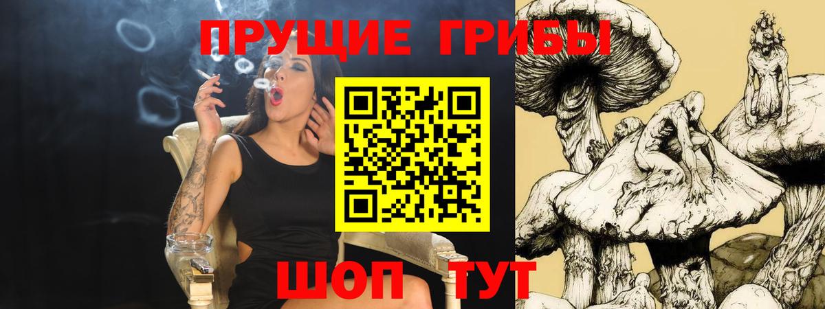 Галлюциногенные грибы Cubensis  Абакан 