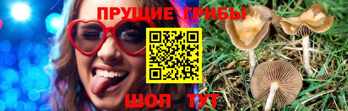 Псилоцибиновые грибы ЛСД Абакан