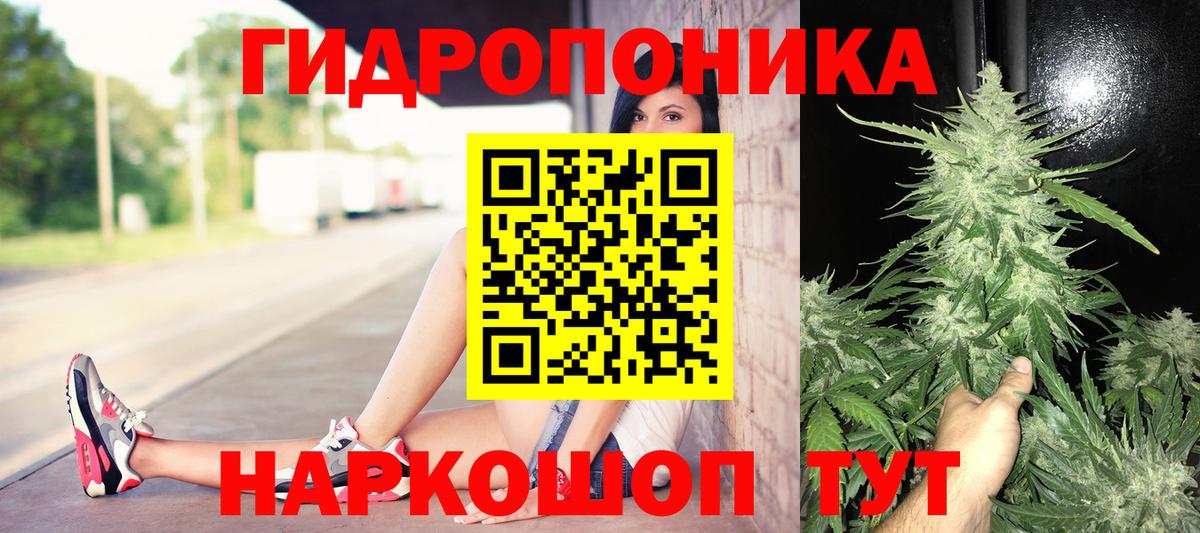 Марихуана гибрид Абакан